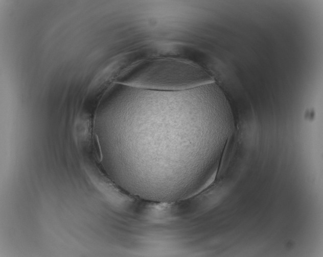 X0000112730092200909101502