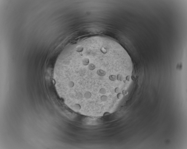 X0000112730093200909101502