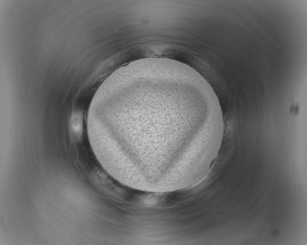 X0000112730094200909101502