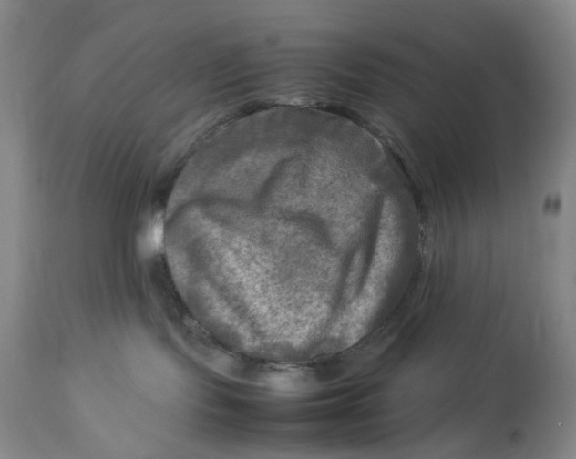 X0000112730095200909101502