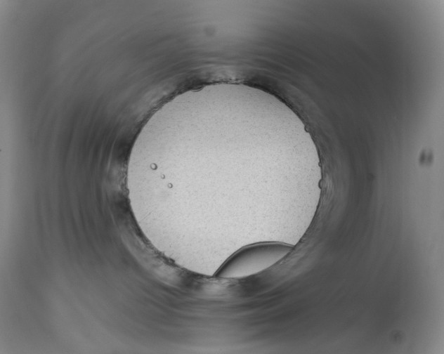 X0000112730096200909101502