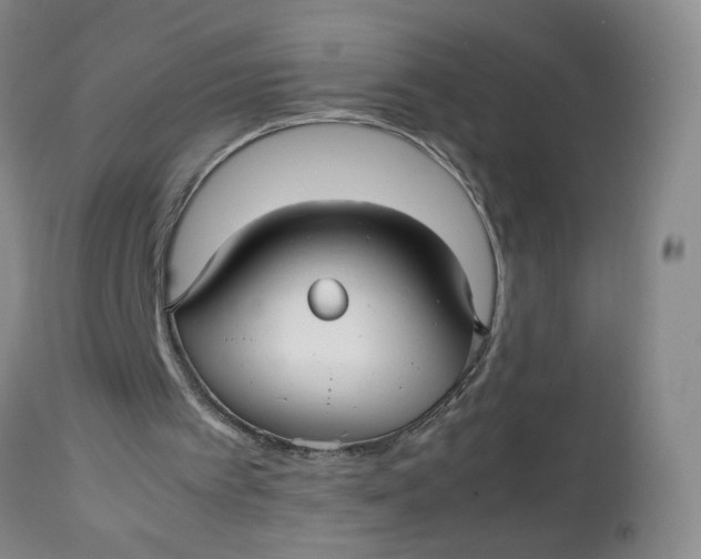 X0000112730097200909101501