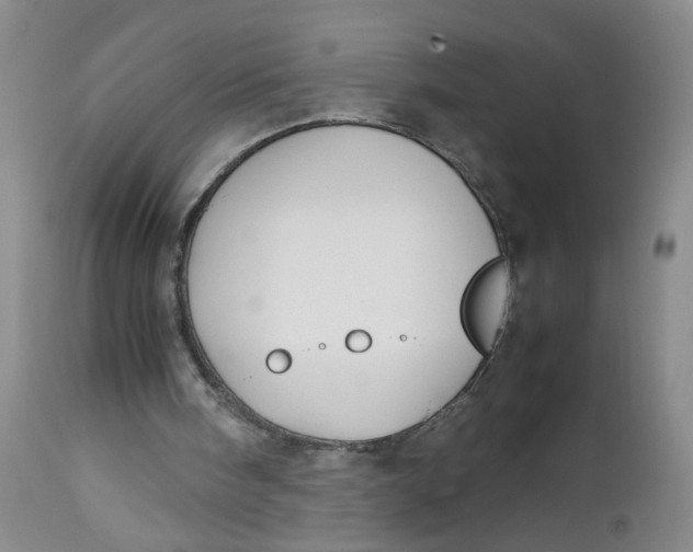 X0000112730098200909101501