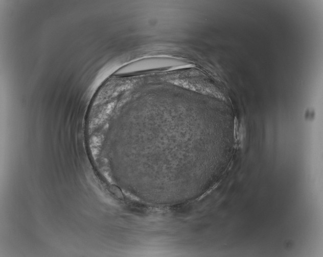 X0000112730099200909101501