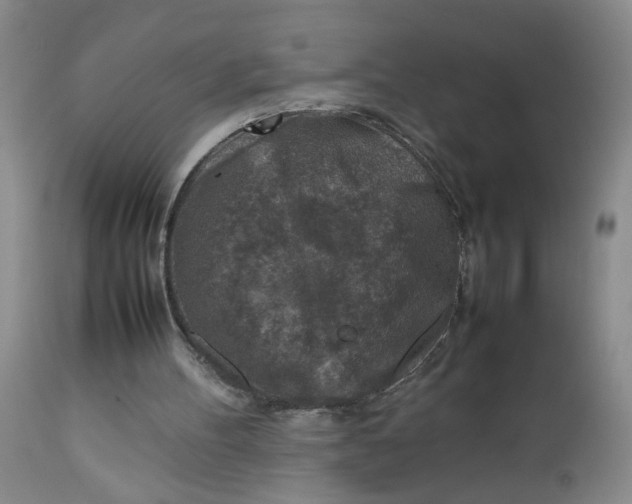 X0000112730100200909101501