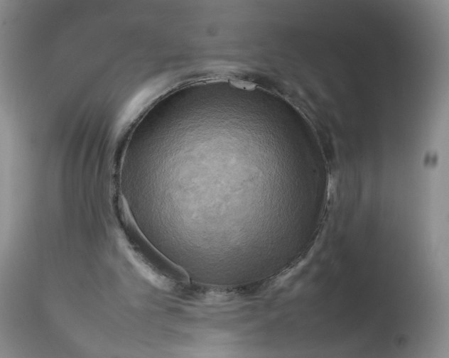 X0000112730101200909101501