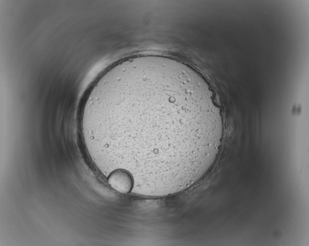 X0000112730102200909101501