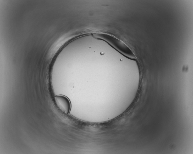 X0000112730103200909101501