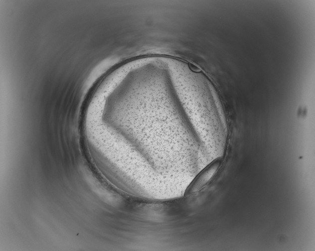 X0000112730104200909101501