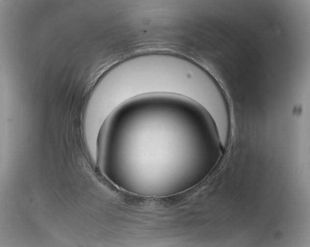 X0000112730105200909101501