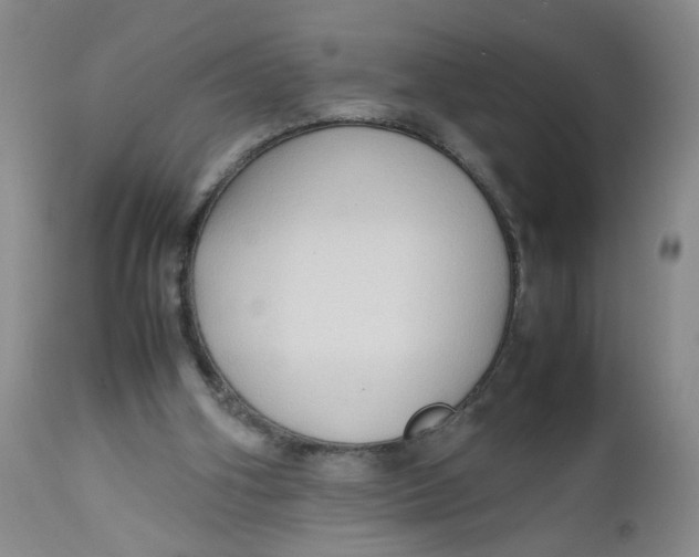 X0000112730106200909101501