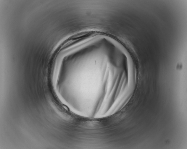 X0000112730108200909101501