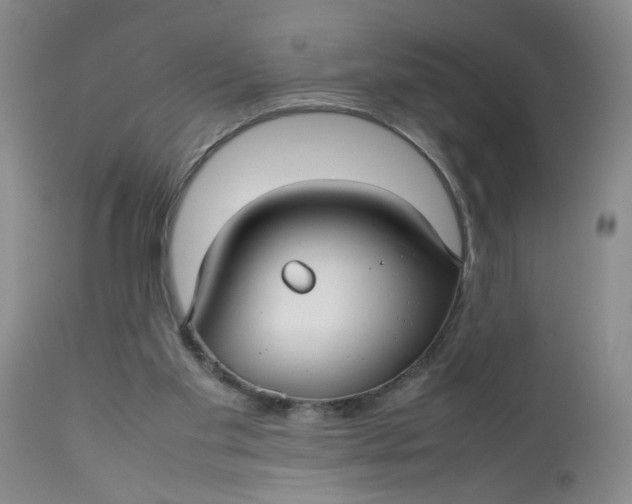 X0000112730109200909101501