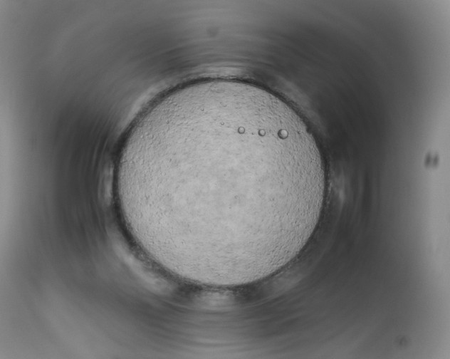 X0000112730110200909101501