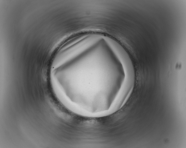 X0000112730112200909101501