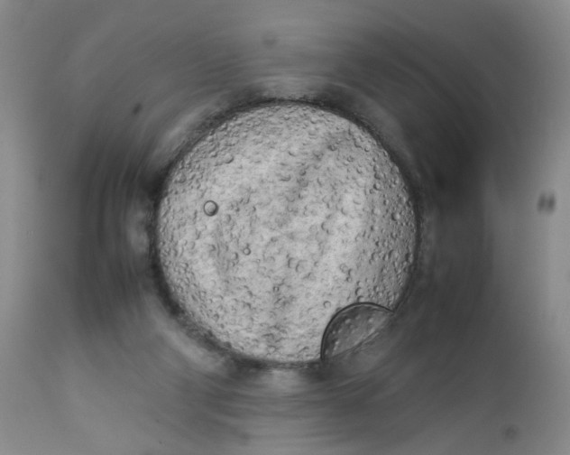 X0000112730114200909101501