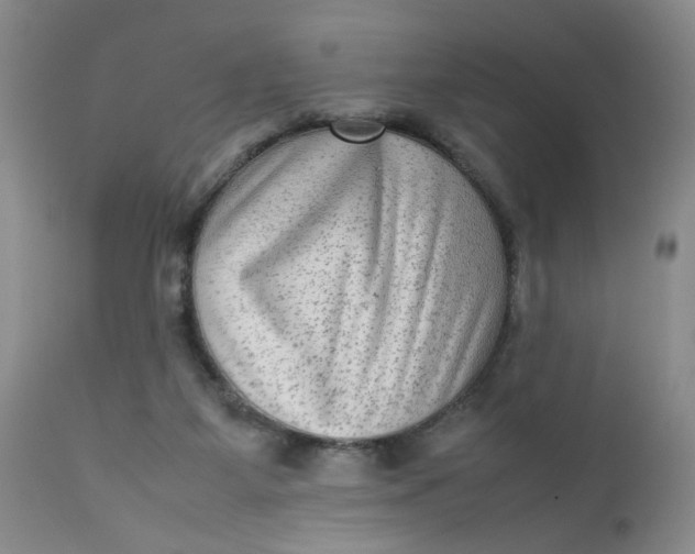 X0000112730115200909101501