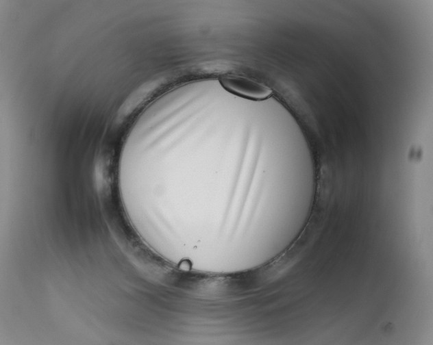 X0000112730116200909101501