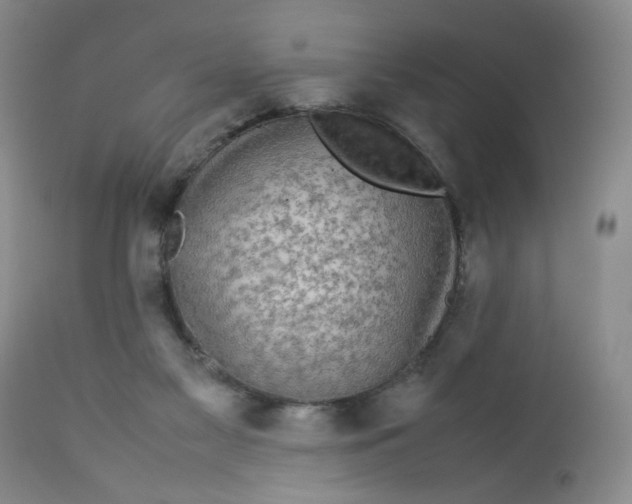 X0000112730117200909101501