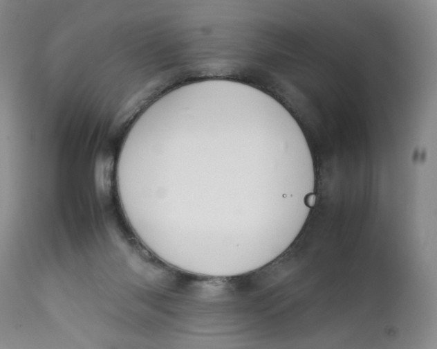 X0000112730118200909101501