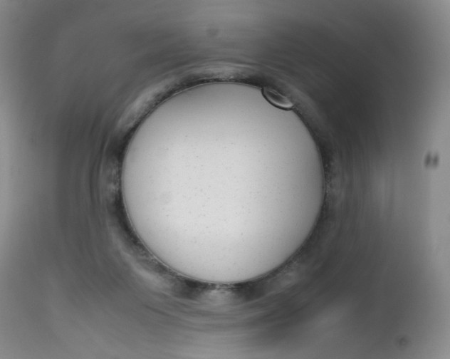 X0000112730119200909101501