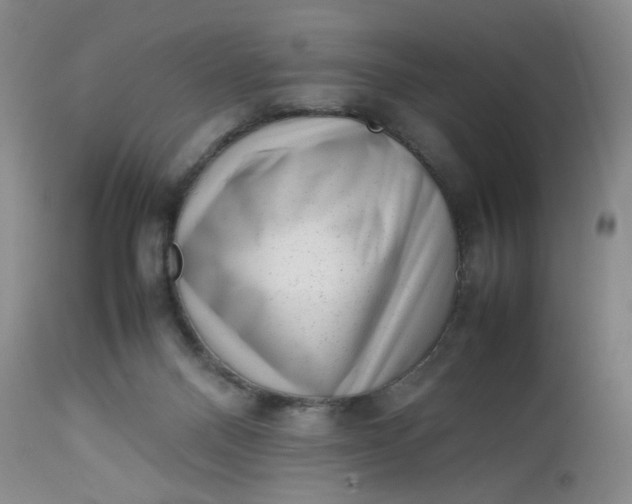 X0000112730120200909101501