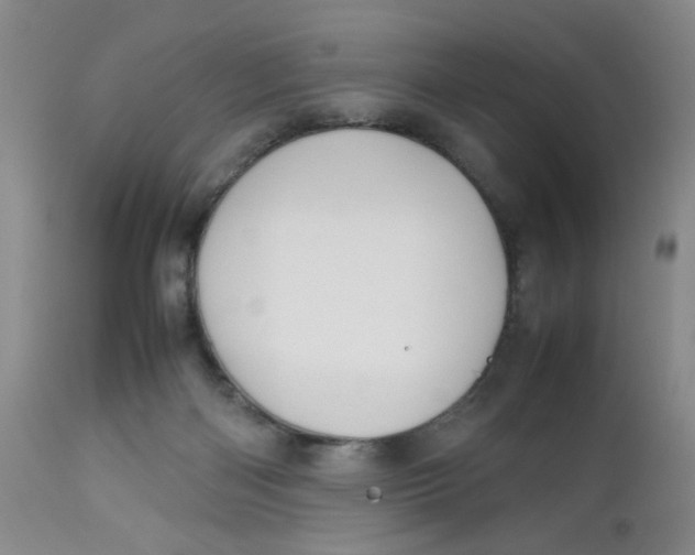 X0000112730122200909101501