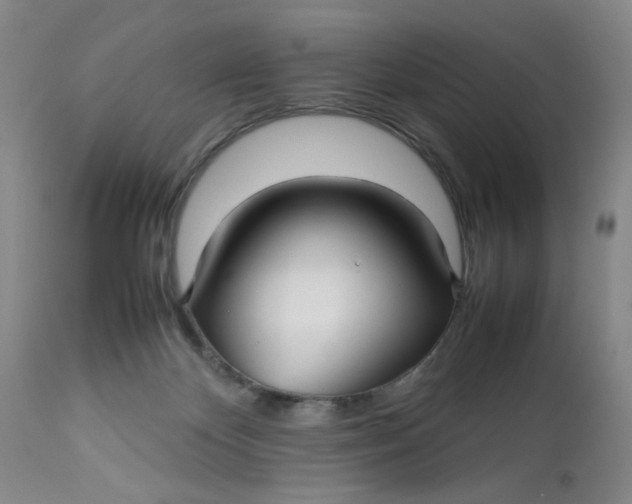 X0000112730124200909101501