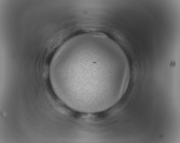 X0000112730125200909101501