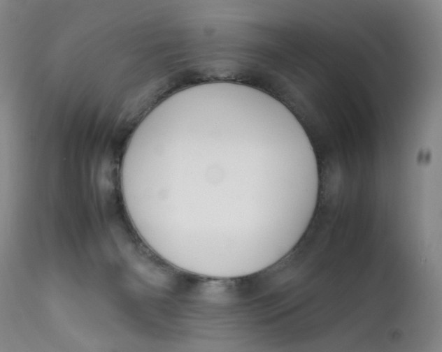 X0000112730126200909101501