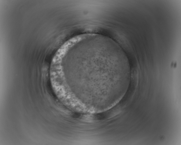 X0000112730127200909101501