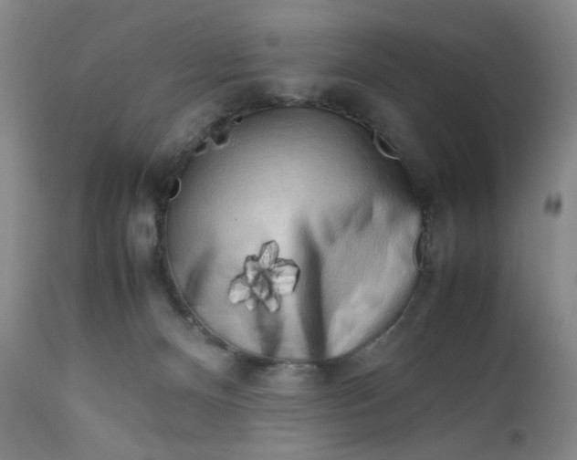 X0000112730128200909101501