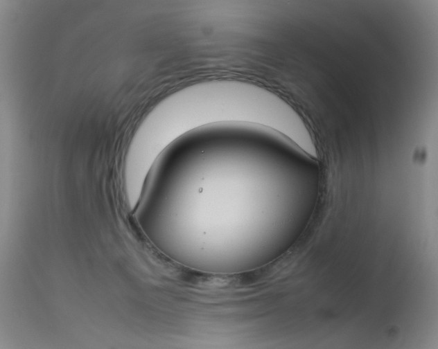 X0000112730129200909101501