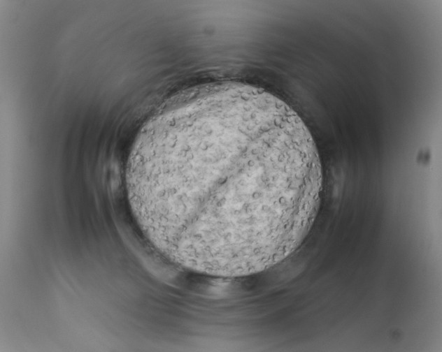 X0000112730130200909101501