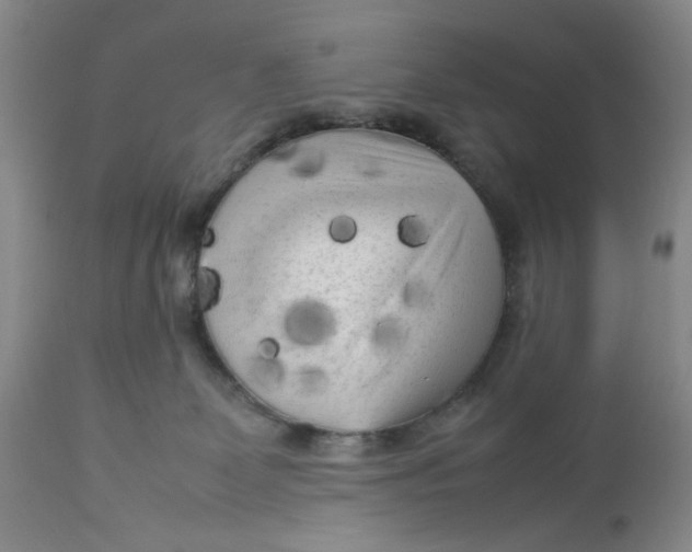 X0000112730131200909101501