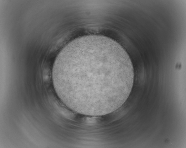 X0000112730134200909101501