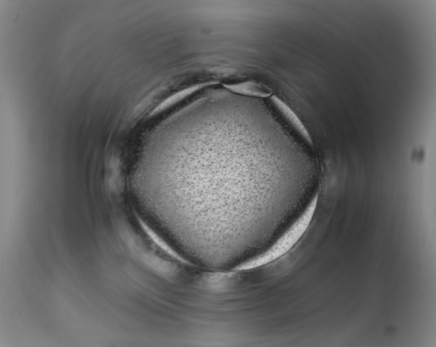 X0000112730136200909101501