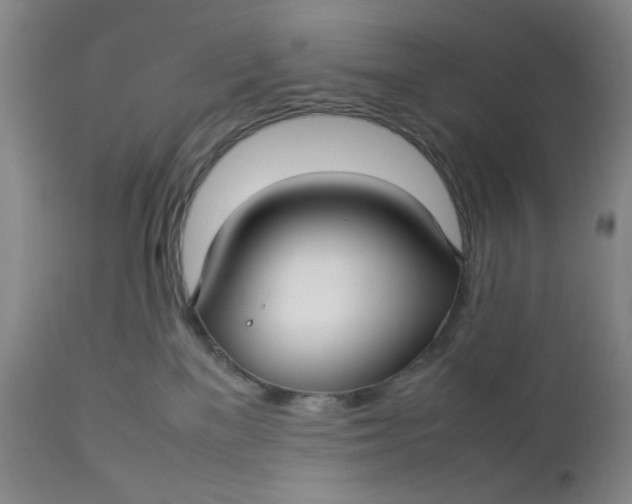 X0000112730137200909101501