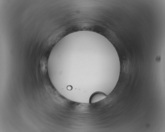 X0000112730138200909101501