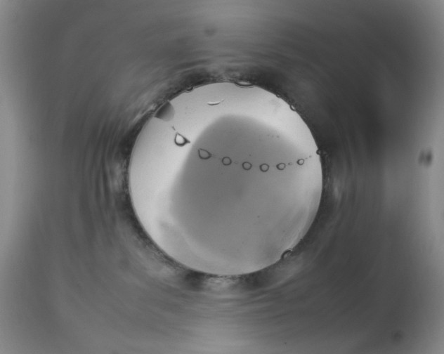 X0000112730139200909101501