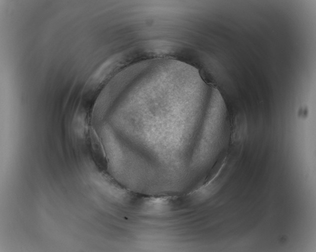 X0000112730140200909101501