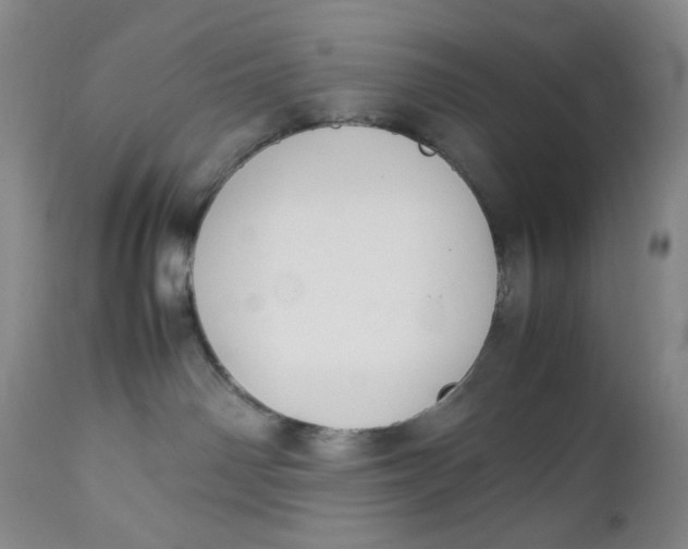 X0000112730142200909101501