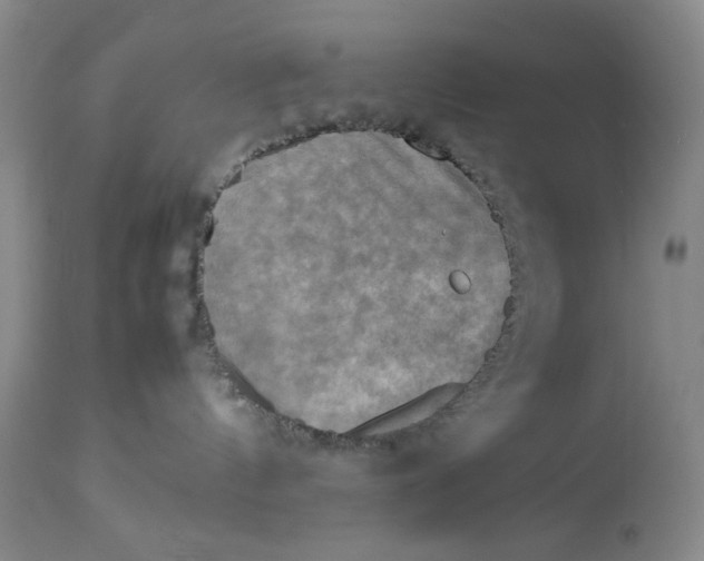 X0000112730144200909101501