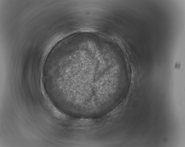 X0000112730145200909101500