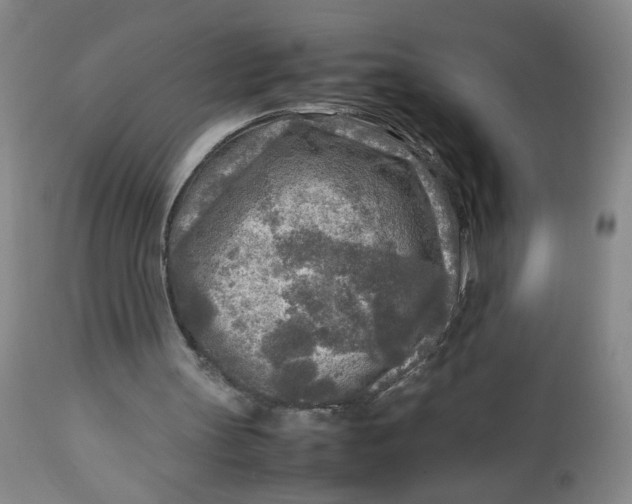 X0000112730147200909101500