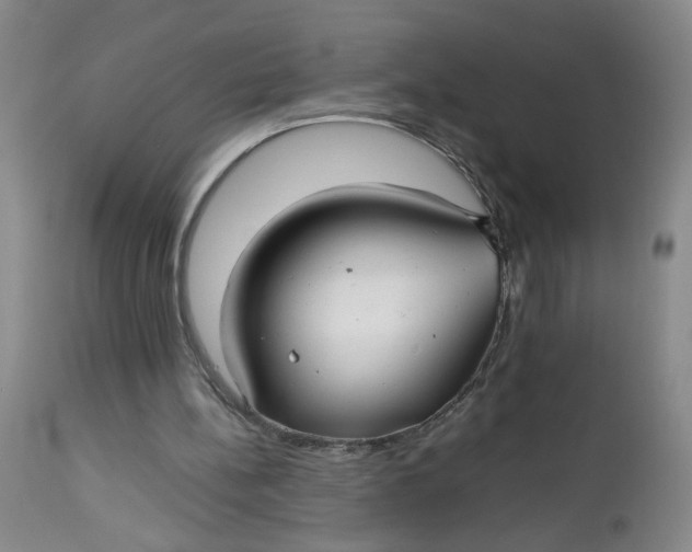 X0000112730148200909101500