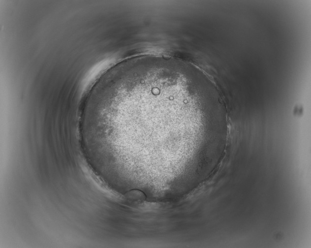 X0000112730149200909101500