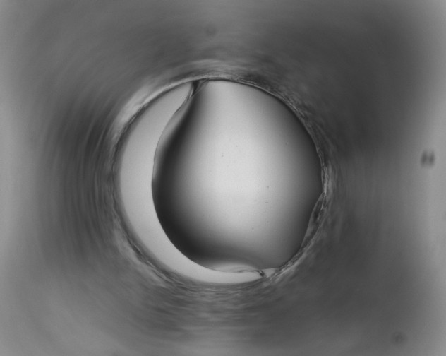 X0000112730150200909101500