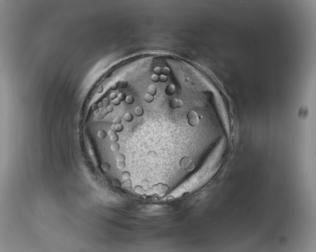 X0000112730151200909101500