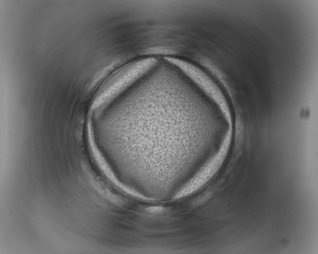 X0000112730153200909101500